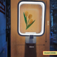 Đèn led gắn tường tranh nghệ thuật 6586