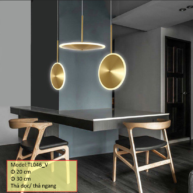 Đèn thả nghệ thuật TN046 D20